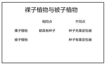 2021年红旗初中生物教师资格证面试教案：《裸子植物与被子植物》